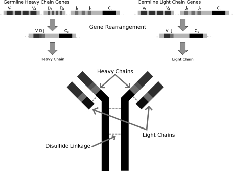 Fig. 1.