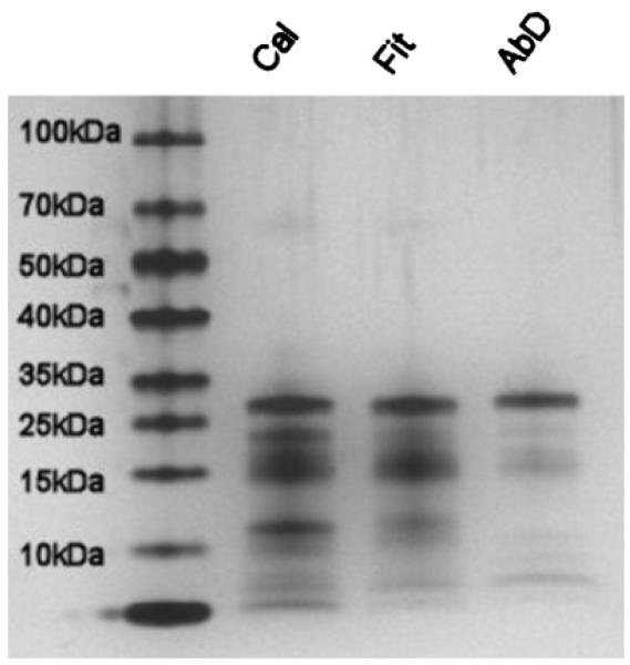 Fig. 3