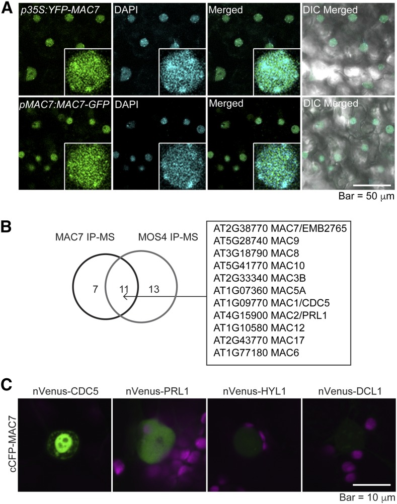 Figure 4.