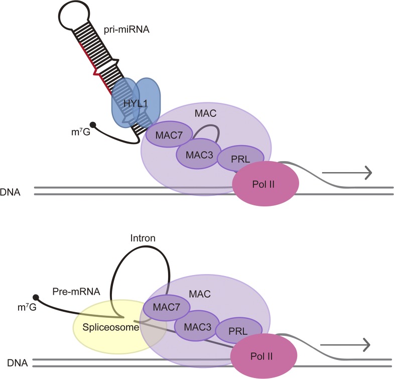 Figure 10.