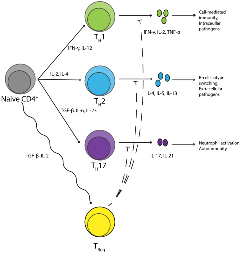 Figure 2: