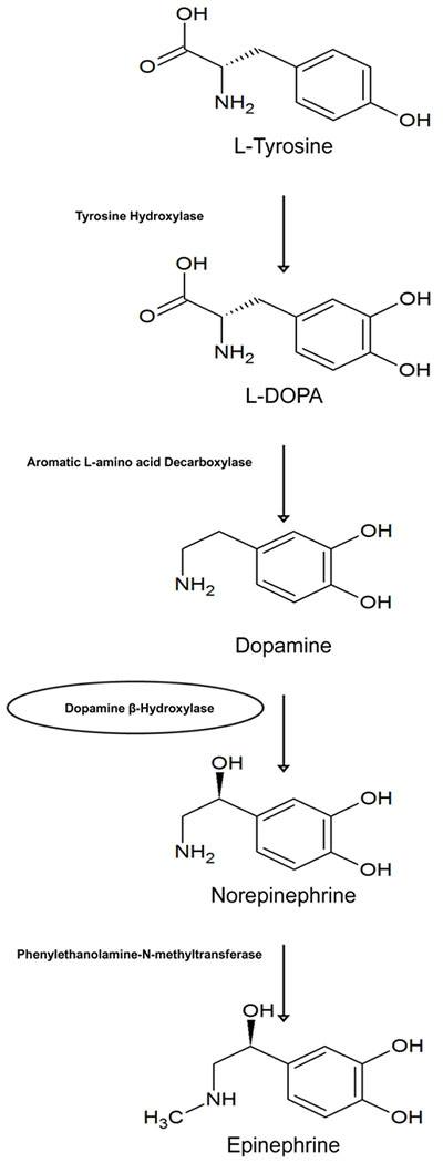 Figure 1: