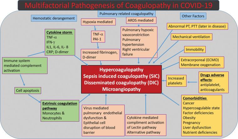 Diagram shows the multifactorial mechanisms of coagulopathy related to COVID-19. CRP = C-reactive protein, IFN-γ = interferon γ, IL-1 = interleukin-1, IL- 6 = interleukin-6, IL-8 = interleukin-8, PAI-1 = pasminogen activator inhibitor-1, PT = prothrombin time, PTT = partial thromboplastin time, TNF-α = tumor necrosis factor-α.