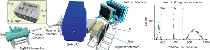 Fig. 2