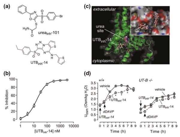 Fig. 11.2