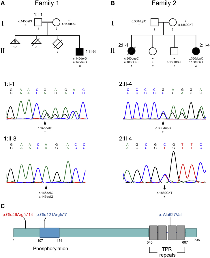 Figure 1