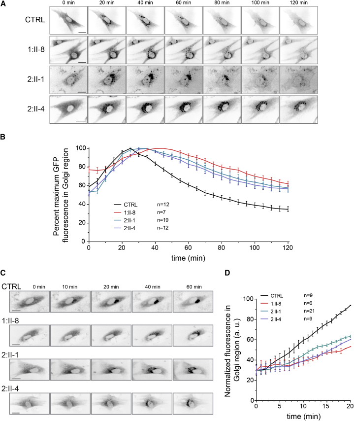 Figure 4