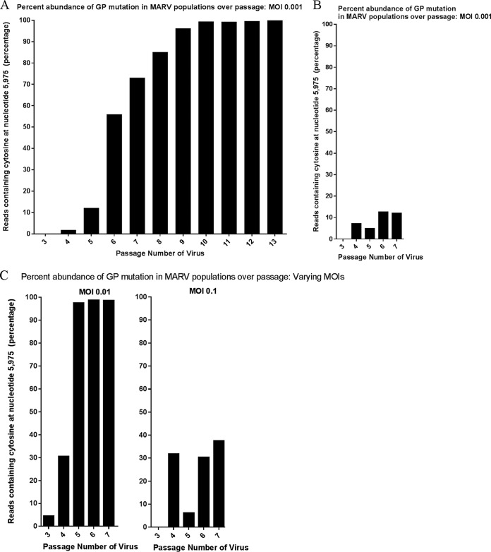 FIG 1 