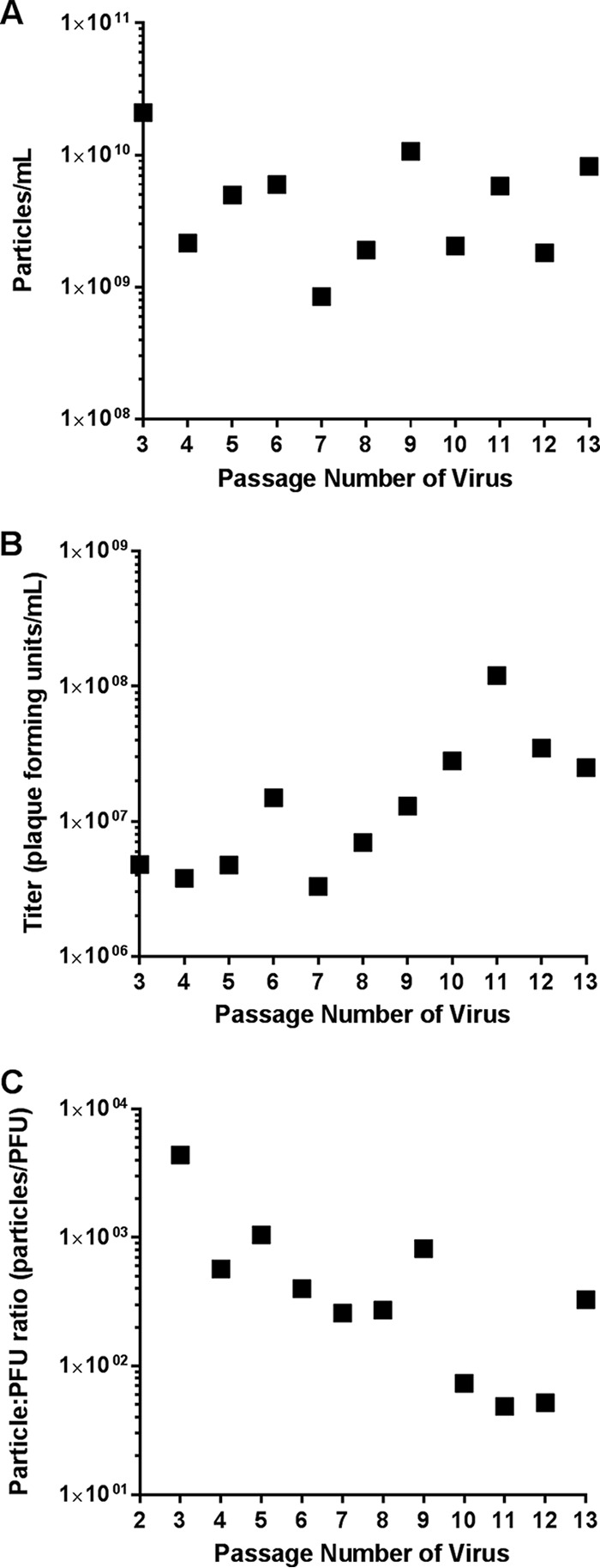 FIG 2 