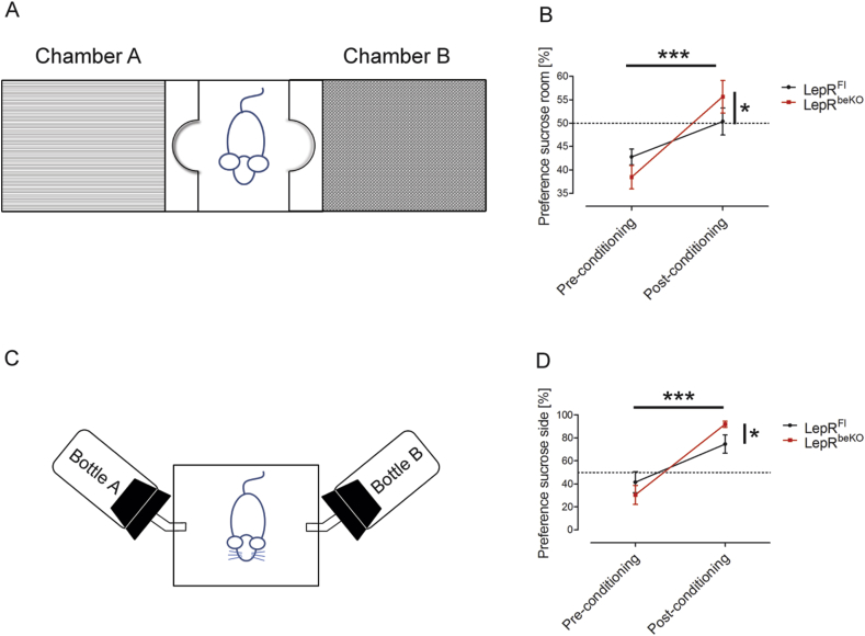 Figure 5