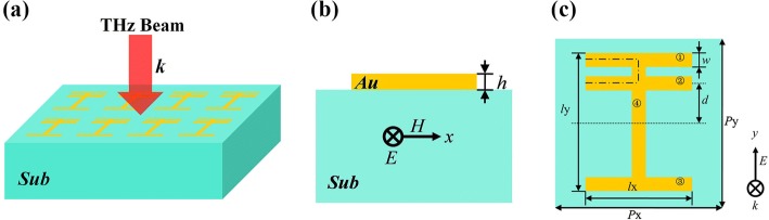 Fig. 1