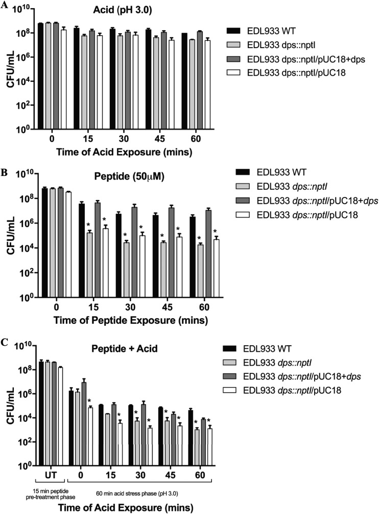 FIG 2