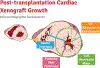 Figure 2-