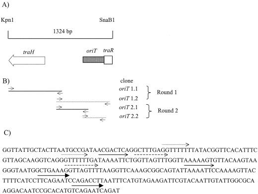 FIG. 3.