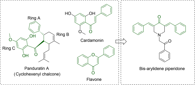 Fig. 1