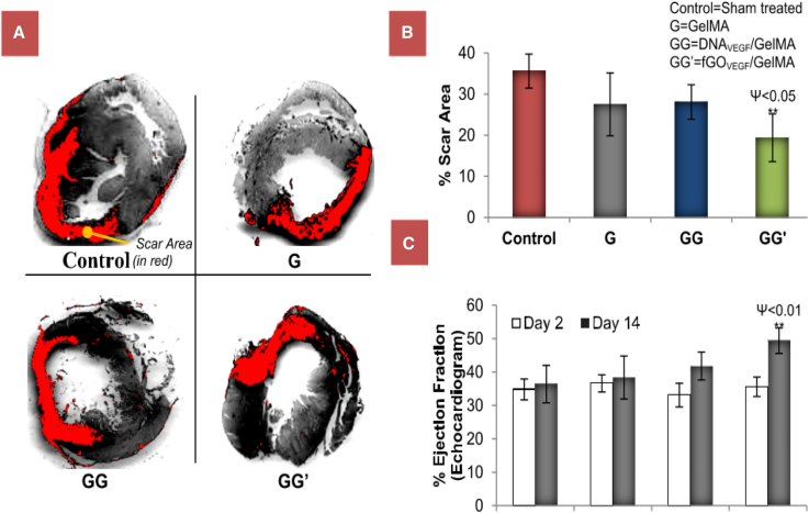 Figure 12