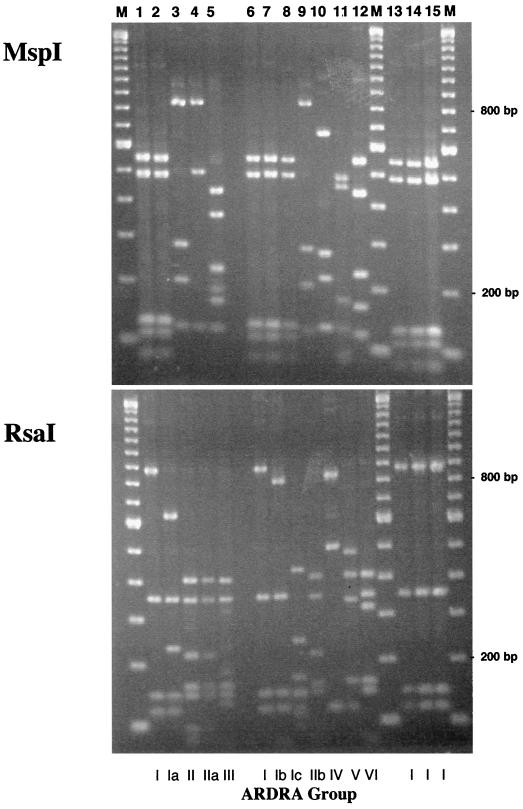 FIG. 1