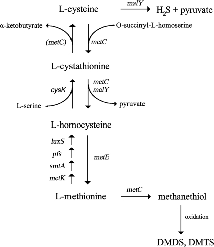 FIG. 6.