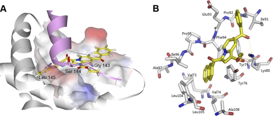 Fig 6