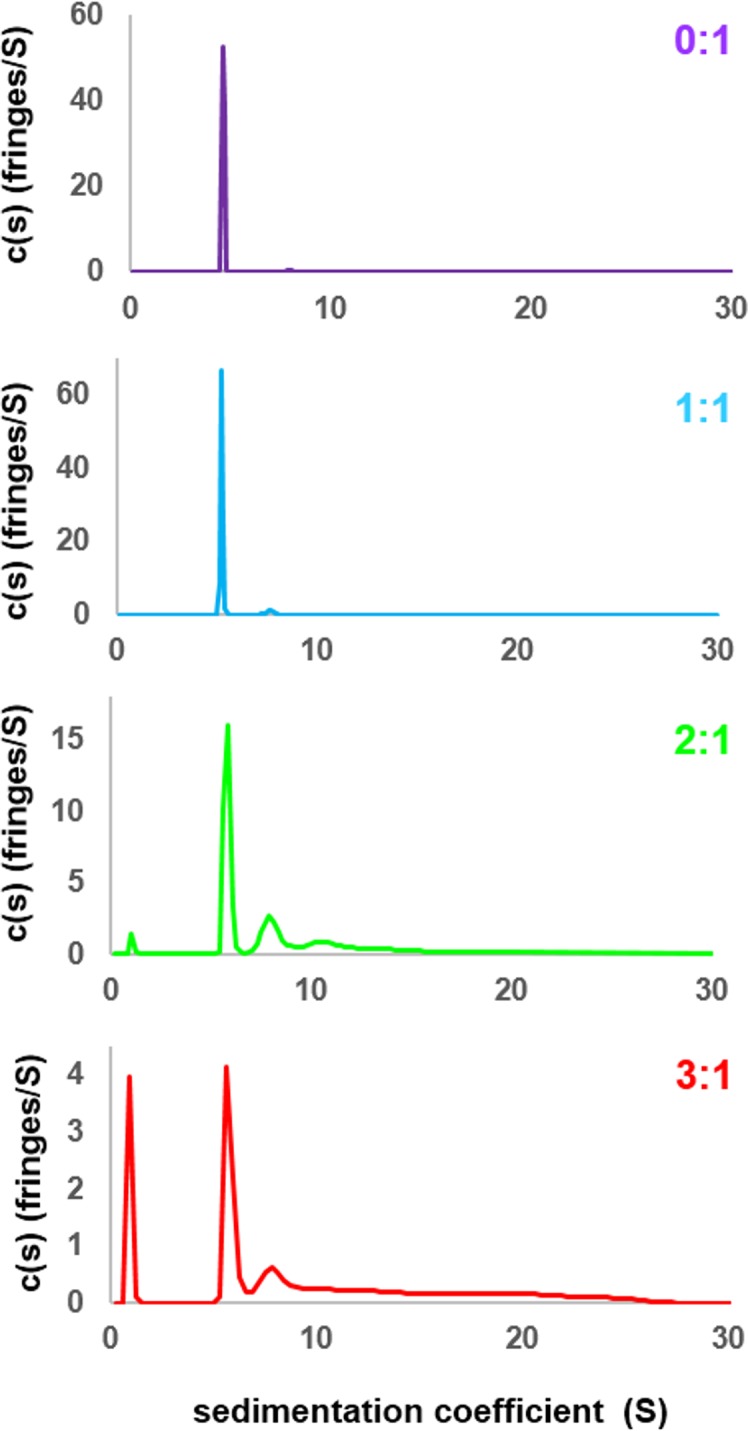 Figure 3—figure supplement 1.