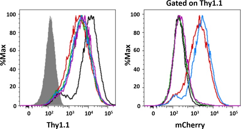 Figure 12—figure supplement 2.