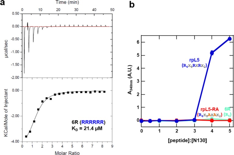 Figure 2—figure supplement 1.