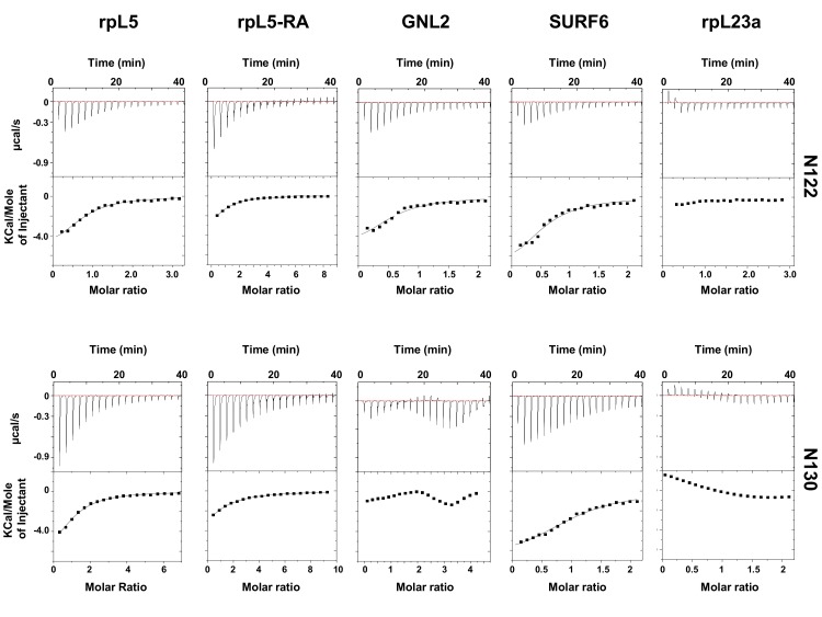 Figure 1—figure supplement 1.