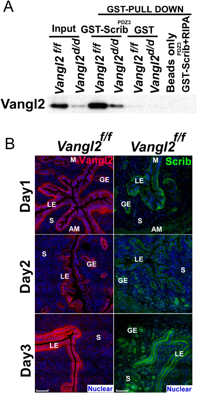 Fig. S4.