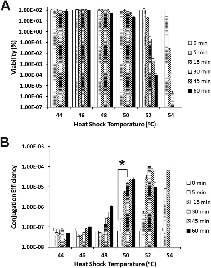 FIG 2