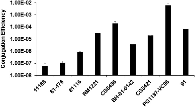 FIG 1