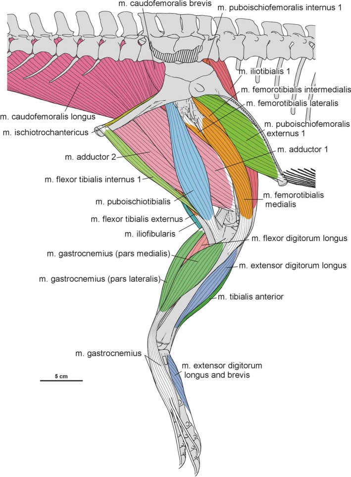 Figure 39