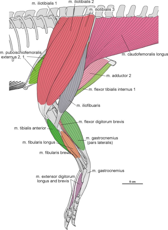 Figure 35