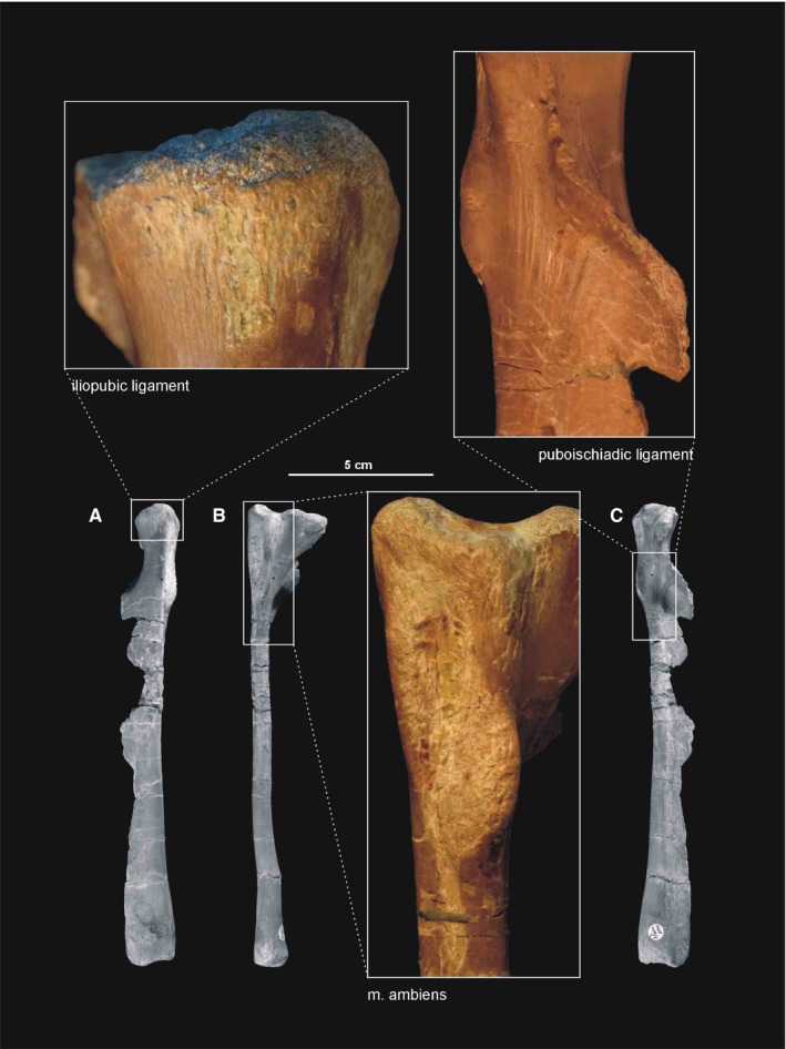 Figure 28