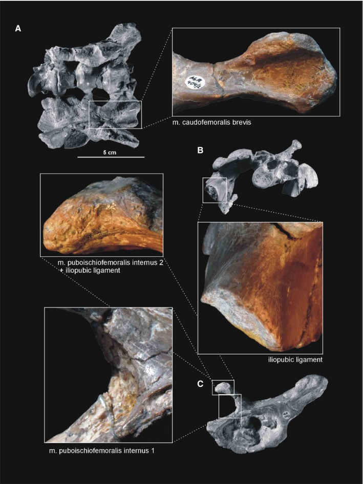 Figure 13