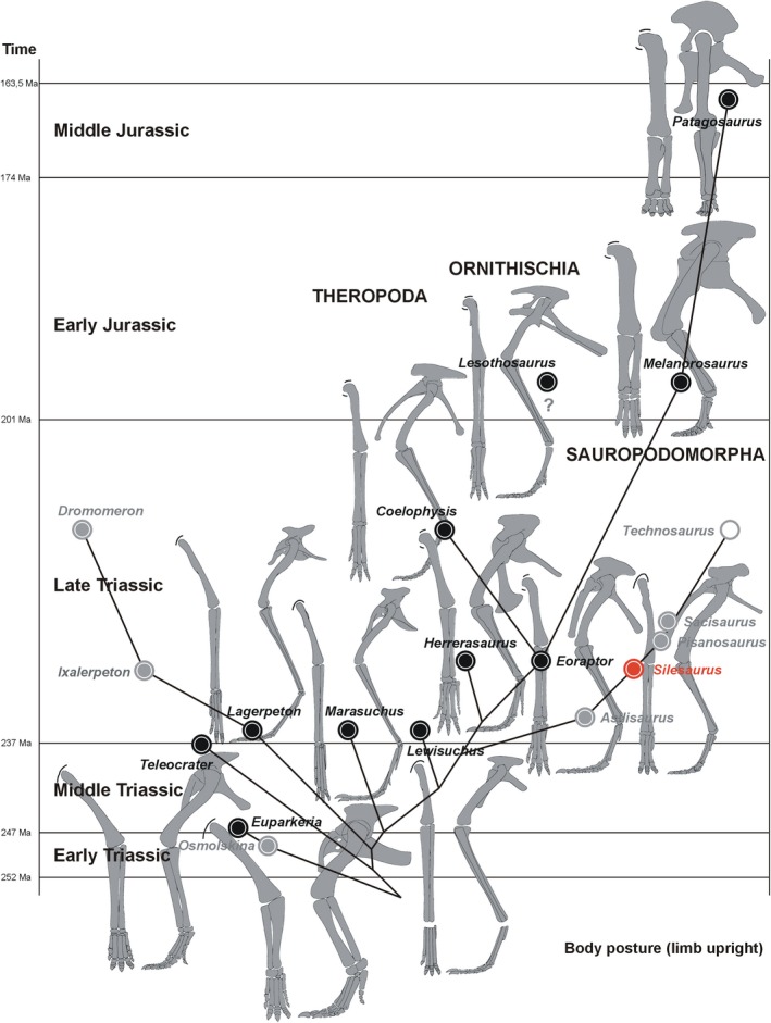 Figure 45