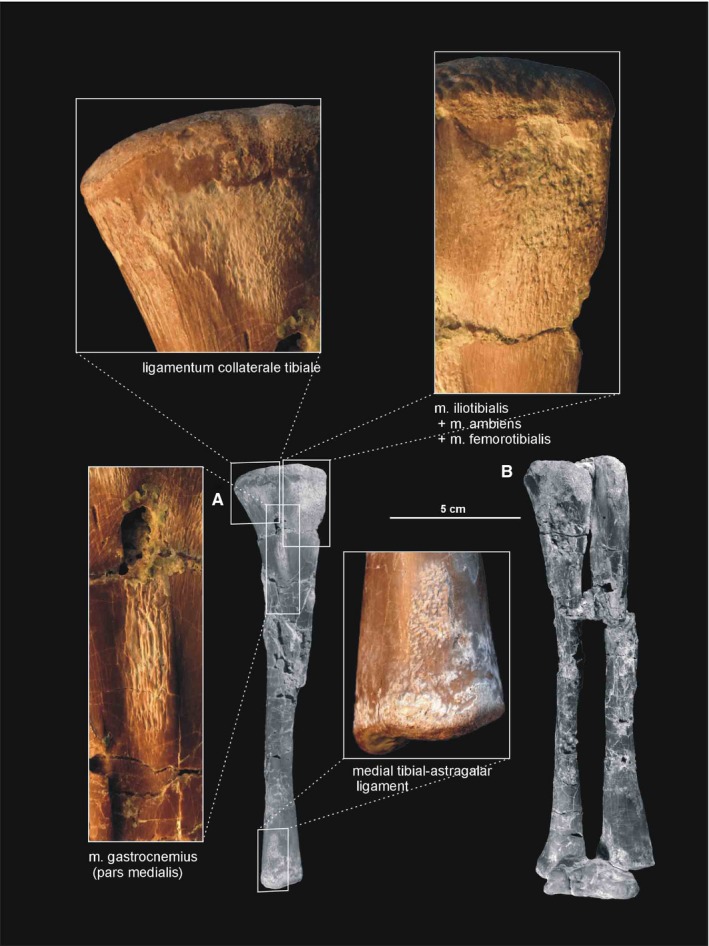 Figure 22