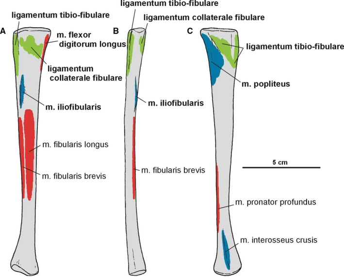 Figure 23