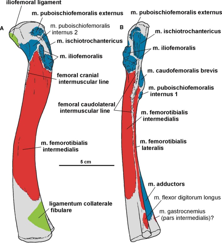 Figure 16