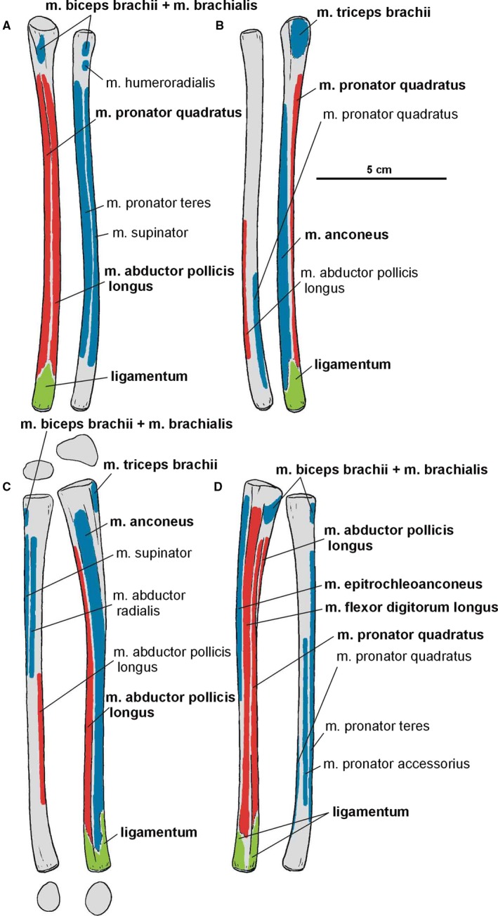 Figure 8