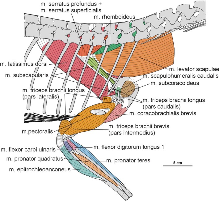 Figure 34