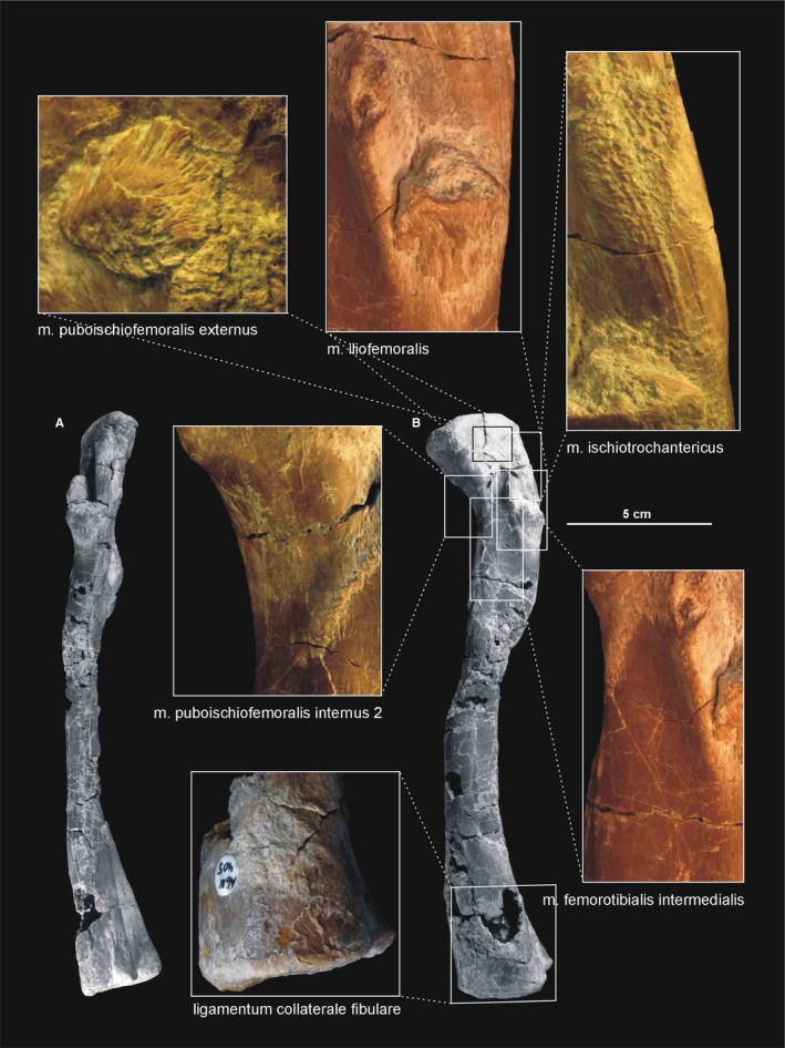 Figure 19