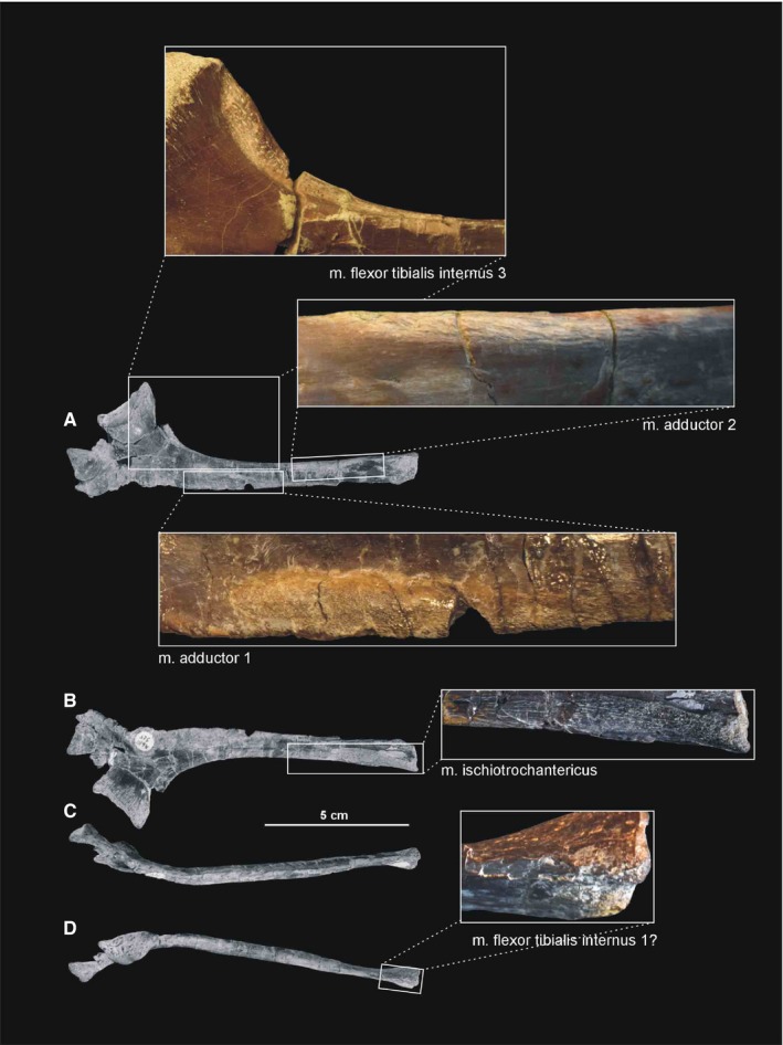 Figure 29