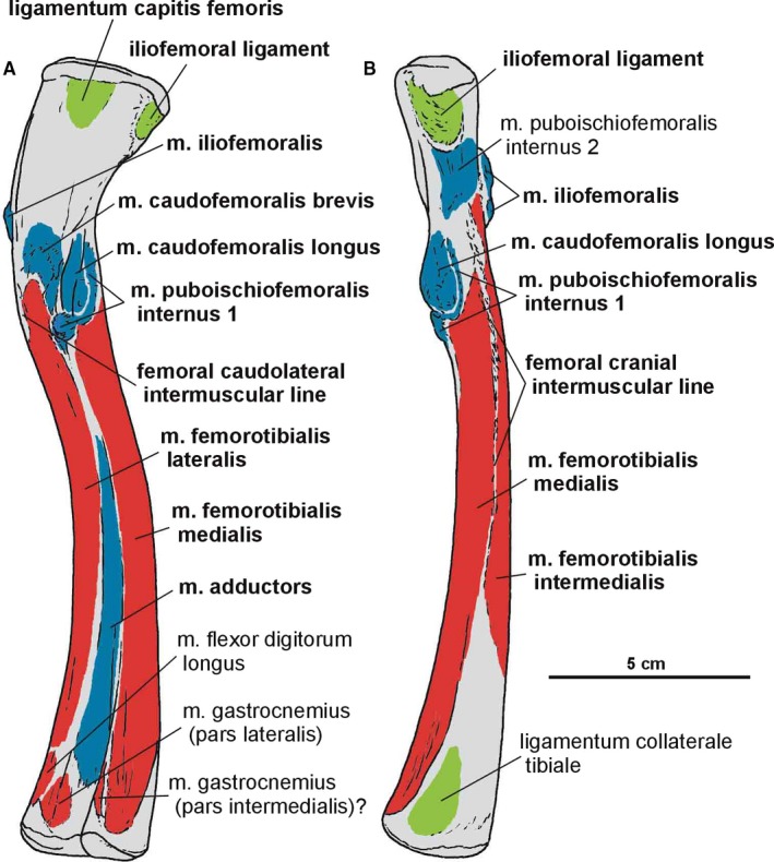 Figure 17