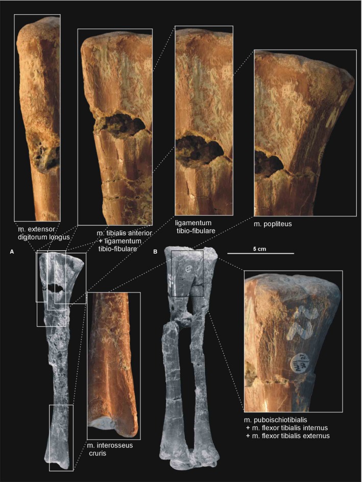 Figure 21