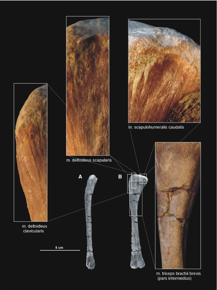 Figure 27