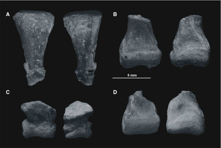 Figure 10