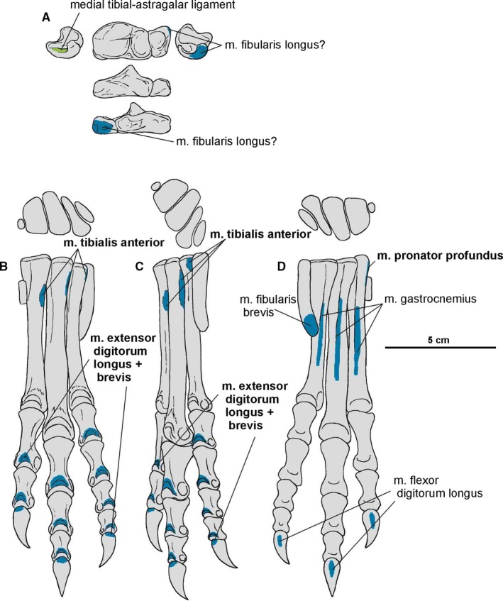 Figure 25