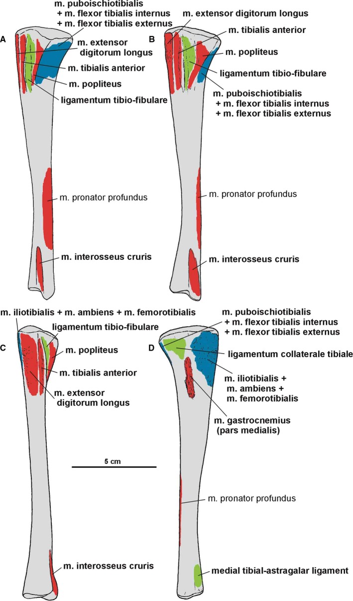 Figure 20