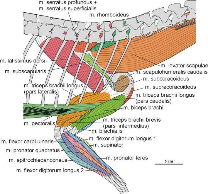 Figure 32