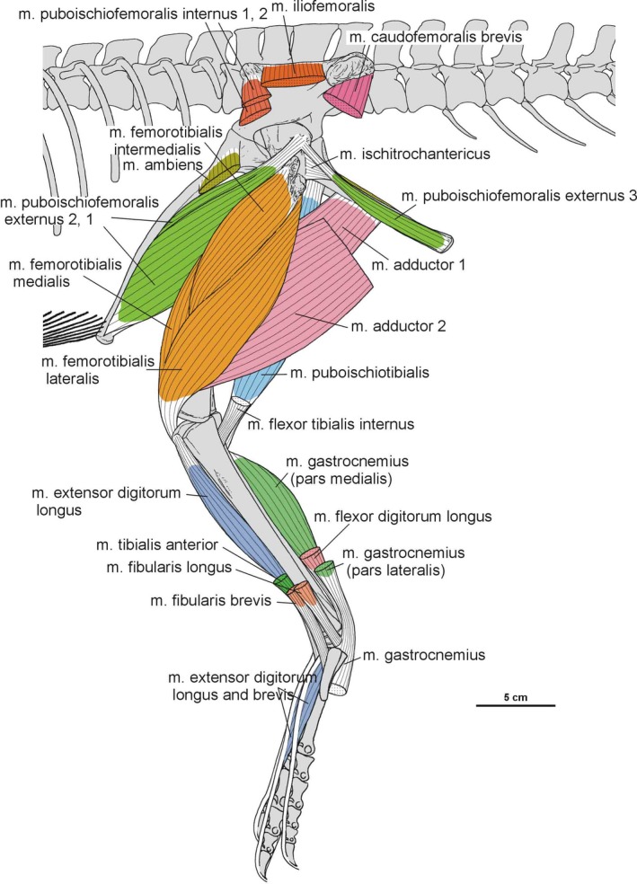 Figure 38